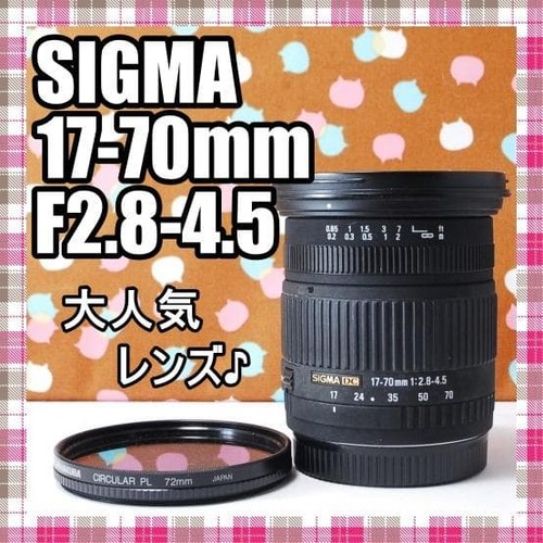 Canon obiettivo standard - , sigma