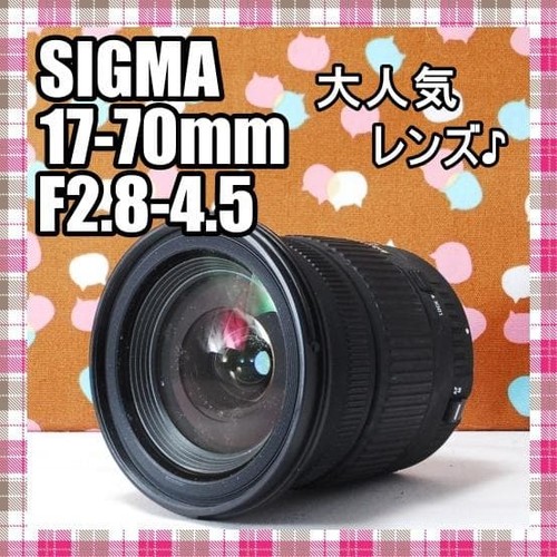 Canon obiettivo standard sigma - canon,